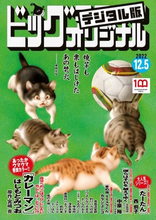 ビッグコミックオリジナル 2022年23号