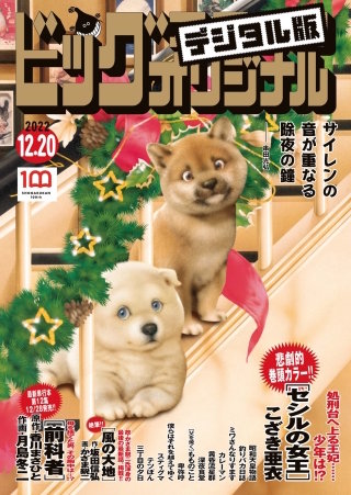 ビッグコミックオリジナル 2022年24号