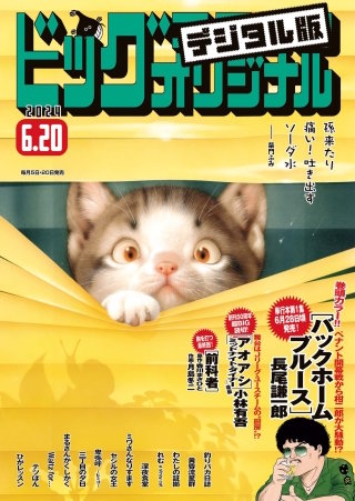 ビッグコミックオリジナル 2024年12号