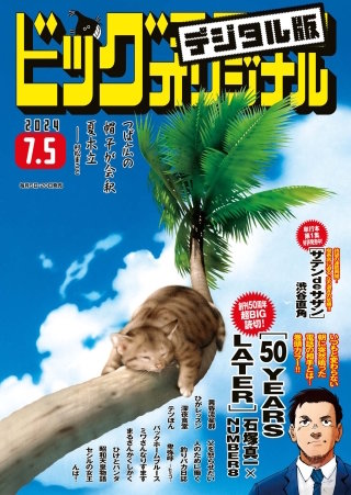 ビッグコミックオリジナル 2024年13号