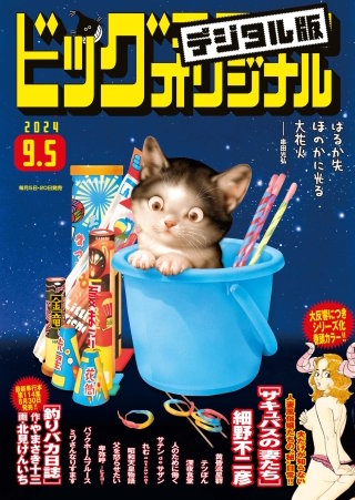 ビッグコミックオリジナル 2024年17号