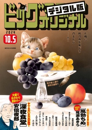 ビッグコミックオリジナル 2024年19号