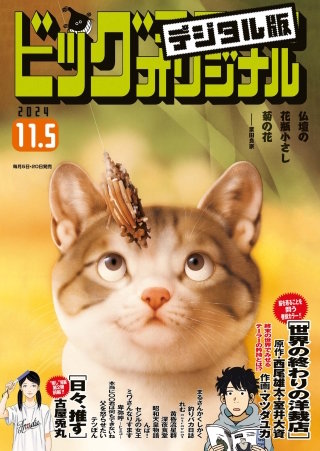 ビッグコミックオリジナル 2024年21号