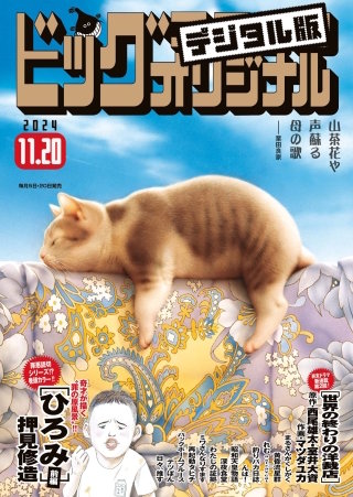 ビッグコミックオリジナル 2024年22号