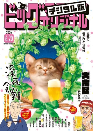 ビッグコミックオリジナル 2026年12号