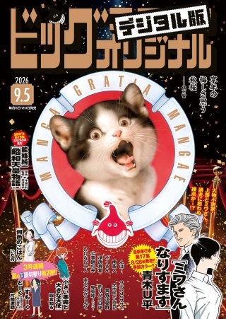 ビッグコミックオリジナル 2026年17号
