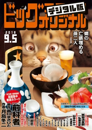 ビッグコミックオリジナル 2018年17号