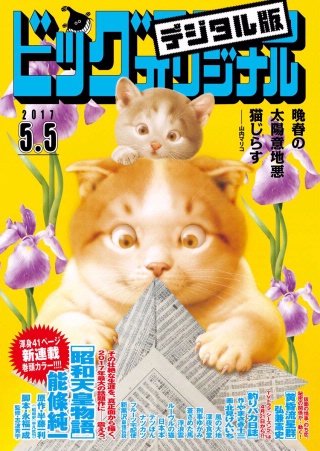 ビッグコミックオリジナル 2017年9号