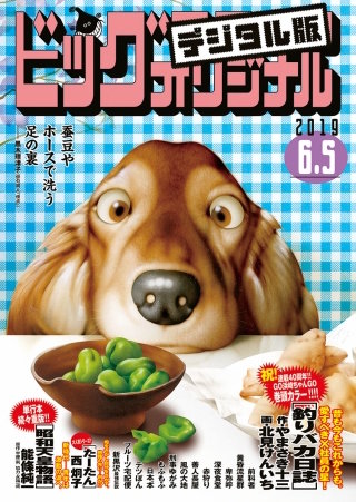 ビッグコミックオリジナル 2019年11号