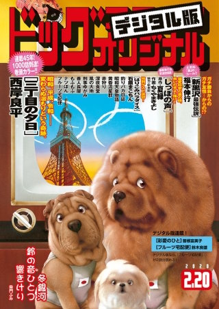 ビッグコミックオリジナル 2020年4号