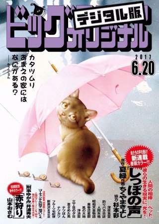ビッグコミックオリジナル 2017年12号