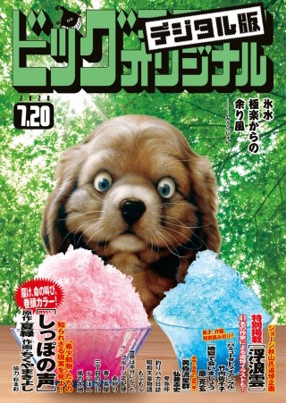 ビッグコミックオリジナル 2020年14号