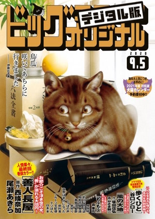 ビッグコミックオリジナル 2020年17号