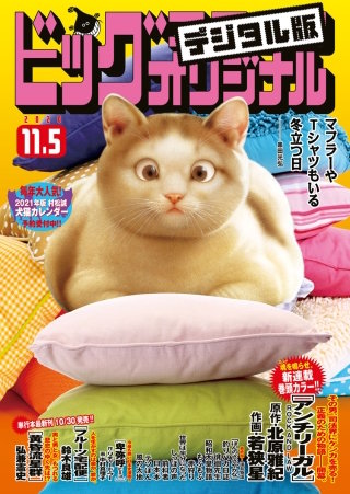 ビッグコミックオリジナル 2020年21号