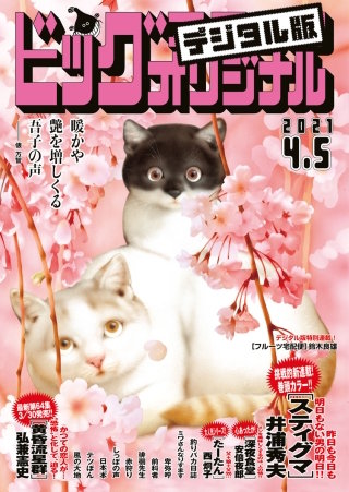 ビッグコミックオリジナル 2021年7号