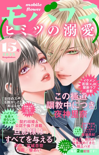 モバフラ 2025年15号