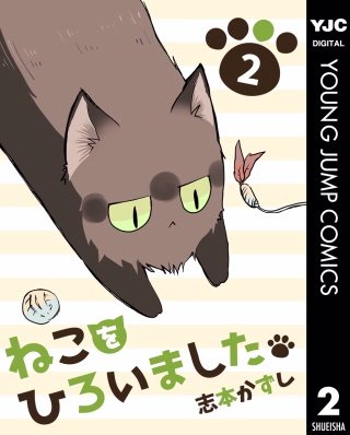 ねこをひろいました。(2)
