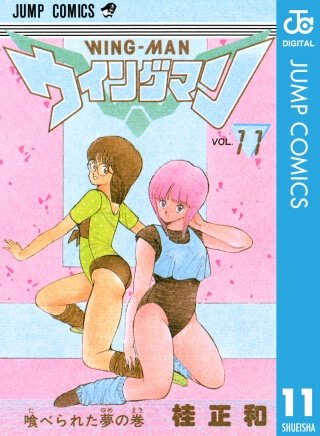 ウイングマン(11)