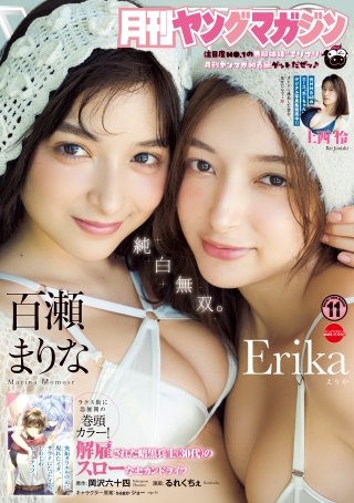 月刊ヤングマガジン 2025年No.11 [2025年10月20日発売]