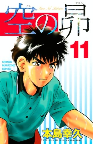 空の昴(11)
