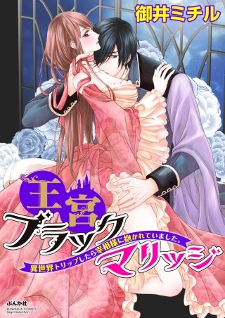王宮ブラックマリッジ 異世界トリップしたら宰相様に抱かれていました。（分冊版）(10)