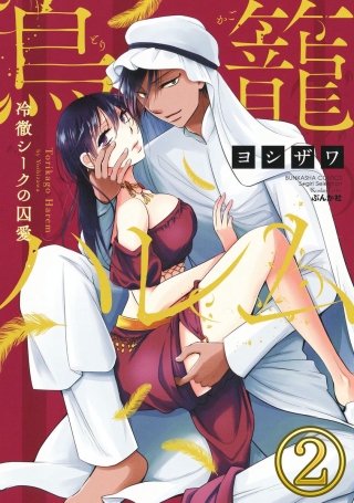 鳥籠ハレム 冷徹シークの囚愛（分冊版）(2)