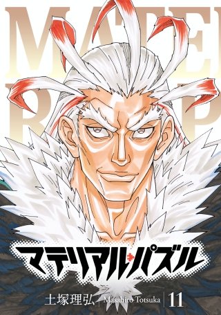 マテリアル・パズル(11)