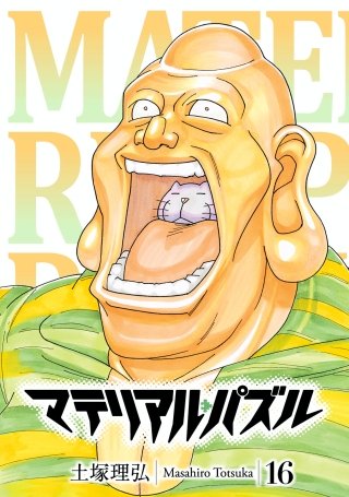 マテリアル・パズル(16)