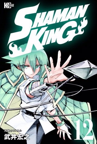 SHAMAN KING(12)