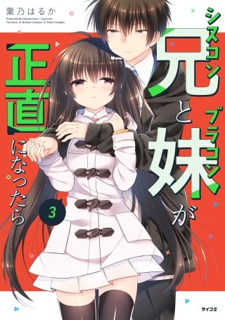 シスコン兄とブラコン妹が正直になったら(3)