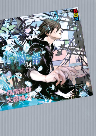 化物語 特装版(14)