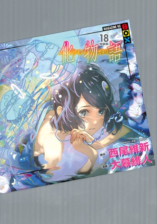 化物語 特装版(18)