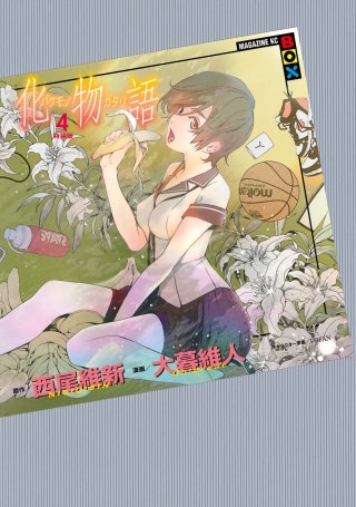 化物語 特装版(4)