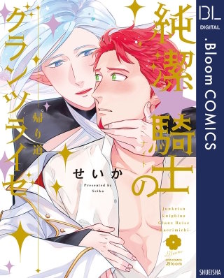 純潔☆騎士のグランツライゼ～帰り道～【電子限定描き下ろし付き】