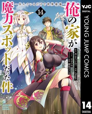 俺の家が魔力スポットだった件 ～住んでいるだけで世界最強～(14)
