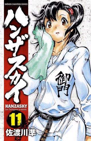 ハンザスカイ(11)