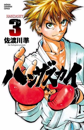 ハンザスカイ(3)