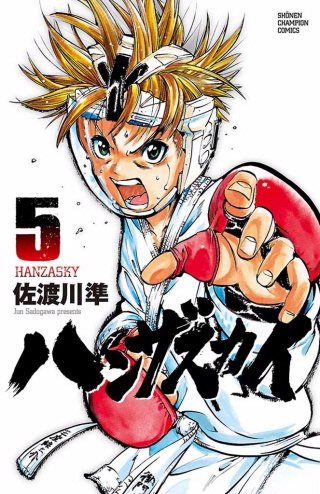 ハンザスカイ(5)