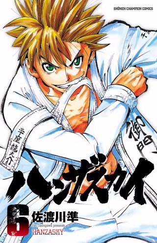 ハンザスカイ(6)