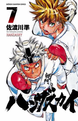 ハンザスカイ(7)