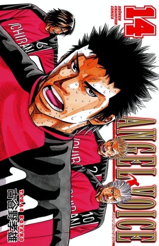 ANGEL VOICE(14)