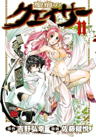 聖痕のクェイサー(11)