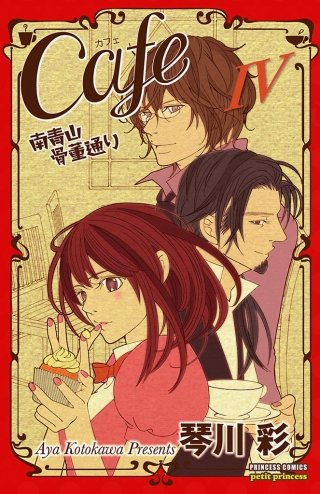 Cafe南青山骨董通り IV