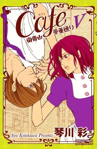 Cafe南青山骨董通り V