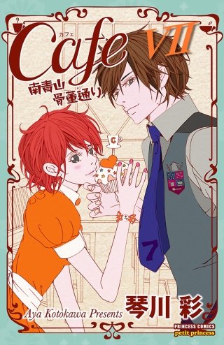 Cafe南青山骨董通り VII