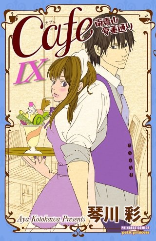 Cafe南青山骨董通り IX