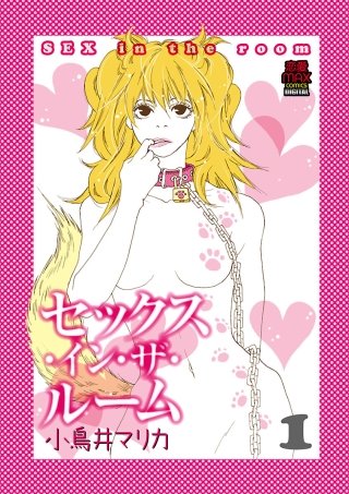 セックス・イン・ザ・ルーム