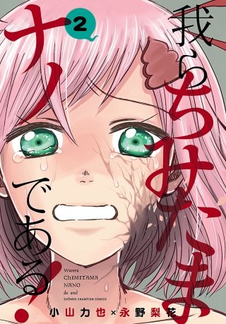 我らちみたまナノである！(2)