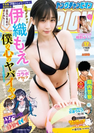 ヤングチャンピオン　2022年17号