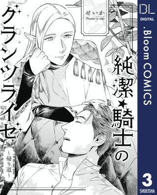 【単話売】純潔☆騎士のグランツライゼ～帰り道～(3)